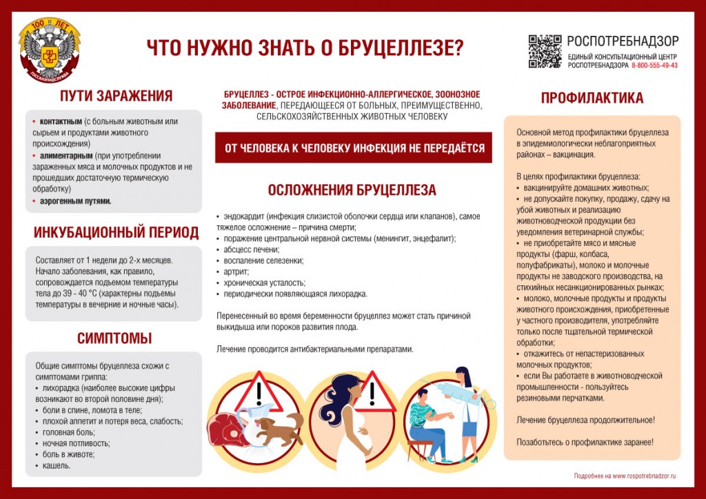 Бруцеллез ЛПУ